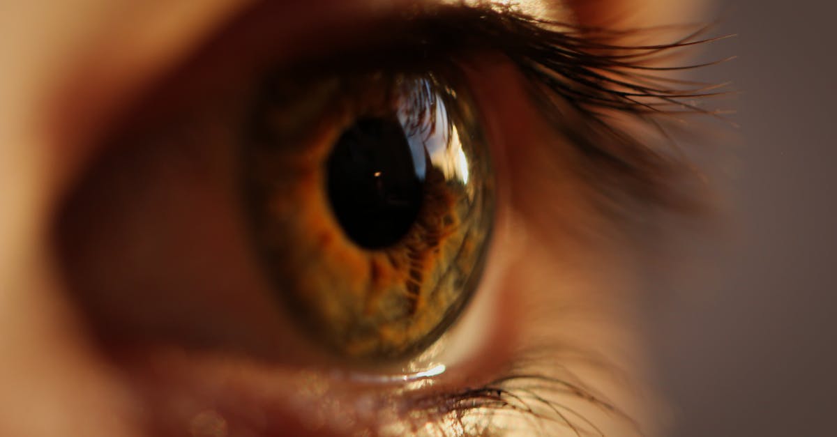 A striking macro close-up of a human eye showcasing the intricate details of the iris and eyelashes.